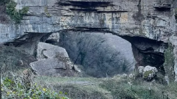 Von Verona: Tour zum Gardasee, Bardolino und Valpolicella!