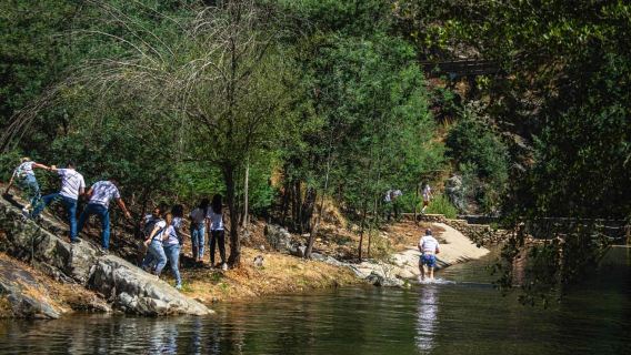 From Lisbon: Discover the Heart of Portugal Tour