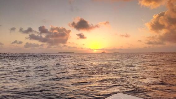 Maldive: crociera al tramonto con avvistamento dei delfini