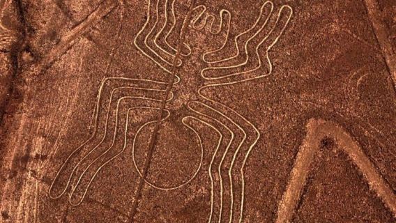 From Nazca: Flight in a light aircraft over the Nazca Lines