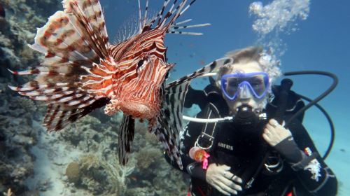 Dubai Attraction: Bermuda Diving Center Day Tours 8