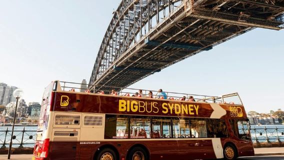Pengalaman Port Stephens + Tiket Bus Naik-Turun Sydney