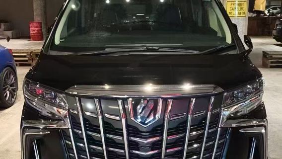 Hong Kong, Macau, Shenzhen, Zhuhai, Guangzhou Alphard noleggio con conducente esclusivo di lusso | un veicolo per un gruppo, viaggio indipendente