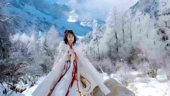 四川畢棚溝一日遊【真純玩無購物丨贈藏服旅拍丨三環內上門接早】