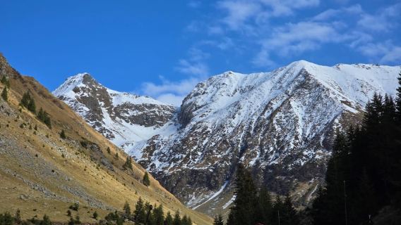 最多 7 人的小團體 - Top Gear 公路 - Transfăgărăşan 高速公路