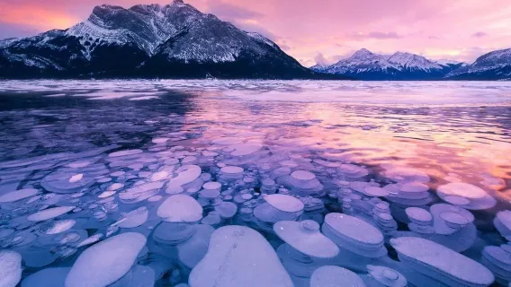 Kanada Banff Abraham Lake mit Eisblasen + Sunwapta Falls + Bow River [Englische Tour]