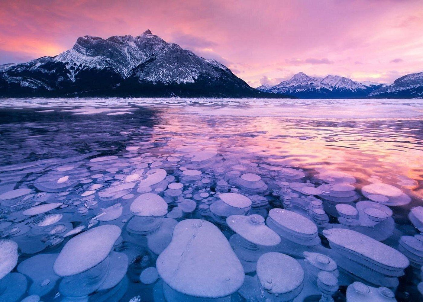 Tour in inglese al Lago Abraham con bolle di ghiaccio a Banff, Cascate di Sunwapta e Fiume Bow in Canada