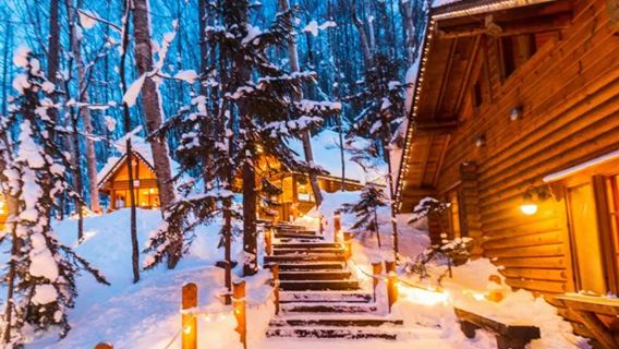 北海道動物園＆四季彩＆網紅聖誕樹或精靈露台一日遊／中文司導