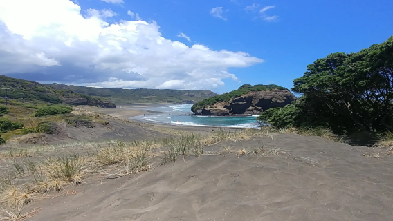 新西蘭純淨海岸包車 奧克蘭+達文波特小鎮慢遊