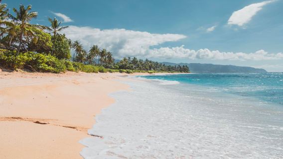 美國夏威夷瓦胡島珍珠港+鑽石頭山+恐龍灣+噴泉洞【中文司機】