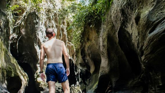 Bali Adventure Tour with Hidden Canyon Trekking and Goa Gajah Temple Visit