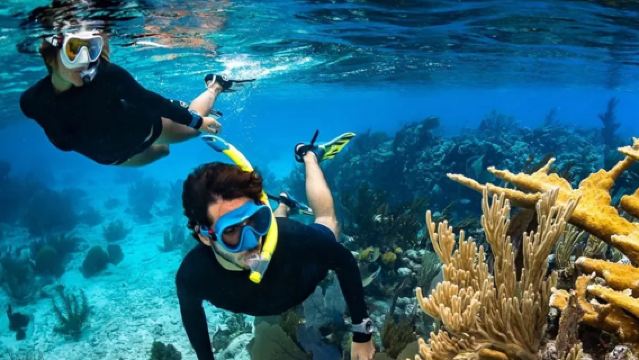 バリ島メンジャンガン島ワンデーツアー【鹿島シュノーケリング・ダイビング・イルカウォッチング・日の出】