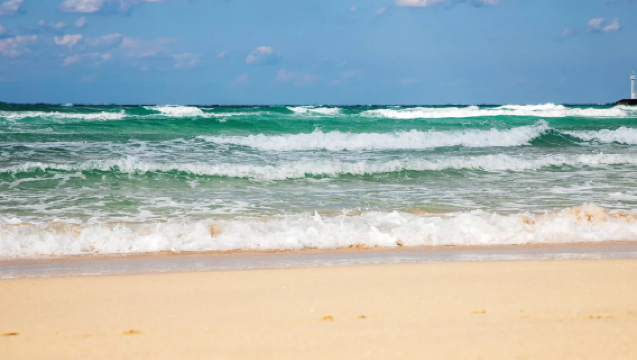 【濟州島中文團】挾才海水浴場+綠茶博物館+涯月邑+【家庭遊】