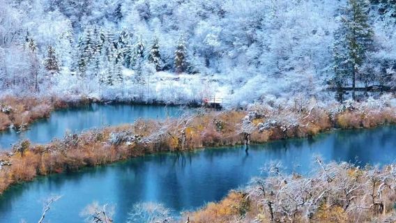 Jiuzhaigou Private Charter Day Tour [Flexible Timing|Adjustable itinerary|High-speed railway station pickup|All-inclusive tour