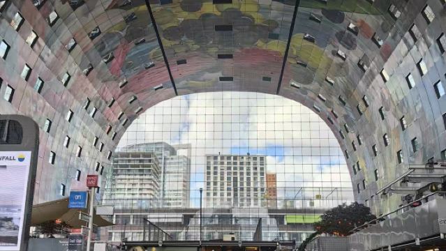 荷蘭阿姆斯特丹來回鹿特丹&海牙雙城包車【中文司機+週邊定制】