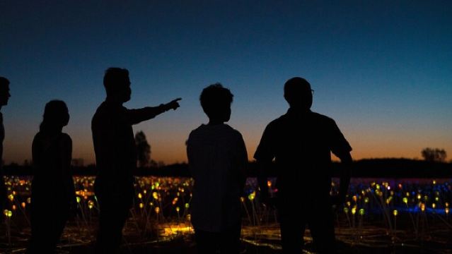 Excursión al amanecer en el Campo de Luz de Uluru (Ayers Rock)