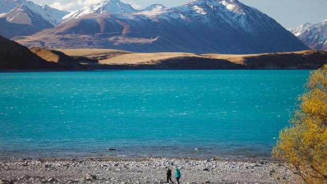 One-way tour from Queenstown to Tekapo via Mount Cook and Lake Tekapo [Includes transfers]