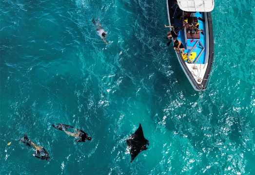 2-Hour Diving & Snorkeling Experience in Bali's Penida Island [Boat Ticket/Manta Point/Manta Bay/Crystal Bay/Gamat Bay/Wall Point]