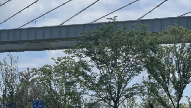 Lawatan Sehari Moden Wuhan Laluan B: Kereta Gantung Lembah Optik + Jalan Shanhaiguan + Menara Qingchuan + Taman Mitos Dayu