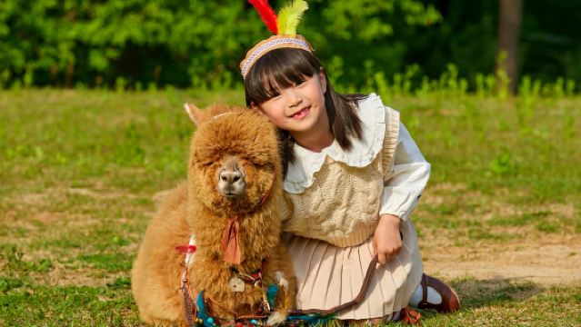 ทัวร์วันเดียว/ทัวร์หลายวัน(ออกเดินทางจากโซล ไกด์ ภาษาจีนและอังกฤษ)