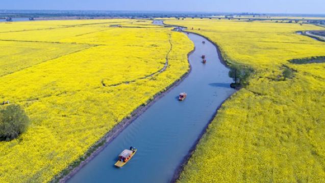 汪老故鄉——高郵湖上花海+盂城驛一日遊