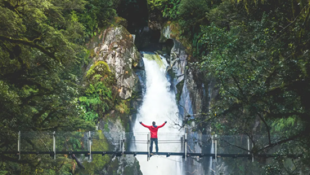 Full-Day Hiking and Cruise Experience in Milford Sound / Piopiotahi, New Zealand | Includes Cruise & Trail Hiking