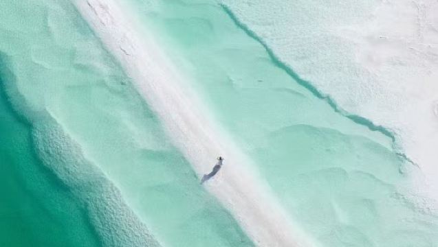 格爾木+德令哈·生命樹拍攝取景地1日