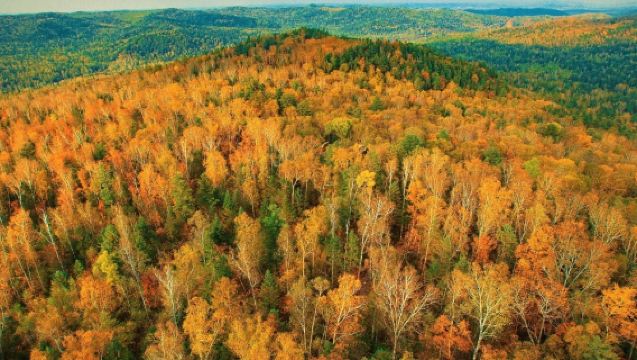 【2-8人小團】伊春五營國家森林公園+鹿溪牧場一日遊