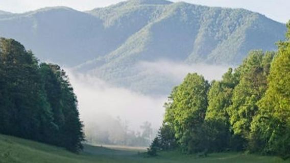スモーキーの名所：日帰りツアー
