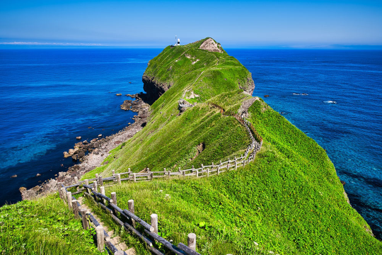 北海道札幌|積丹神威岬+小樽+白色戀人公園一日遊*中英文導遊