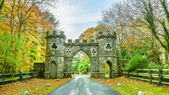 [Sewaan Peribadi Bahasa Cina] Jelajah Bandar Belfast + Muzium Titanic + Taman Hutan Tolymore