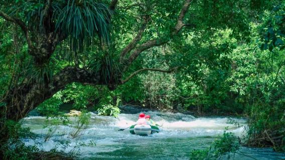Đón tận nơi bao gồm vé ghép đoàn nhỏ | tour riêng Sùng Tả Phục Na bí cảnh + Động Na Vũ Loan vé trọn gói