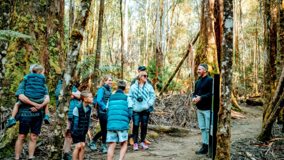 Australia | Excursión desde Hobart | Parque Nacional Monte Field + Santuario Bonorong + Pueblo de Richmond