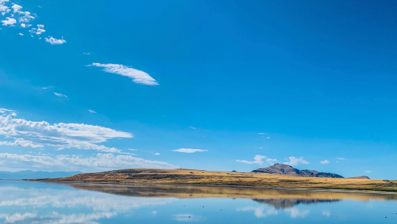 Amerika Syarikat Salt Lake City - Great Salt Lake - Taman Negeri Pulau Antelope - Boleh Dikustomisasi [Kereta Khas - Kebebasan Penuh]