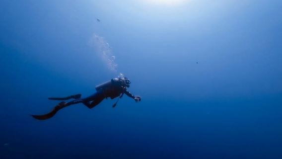 Scuba Diving in Colombo