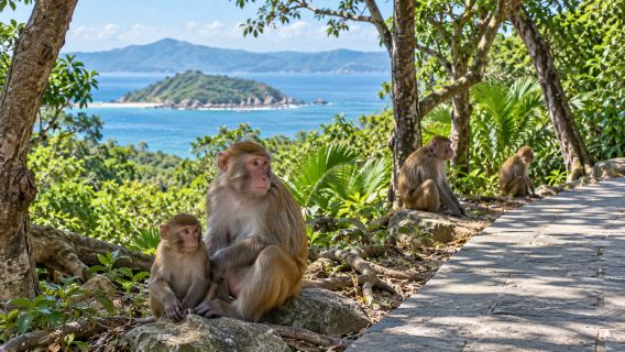 Nanwan Apeneiland + Danjia Museum + Haitang Bay eendaagse tour