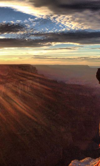 Grand Canyon National Park Day Tour [South Rim + Lunch] Non-US Citizens Please Note Details