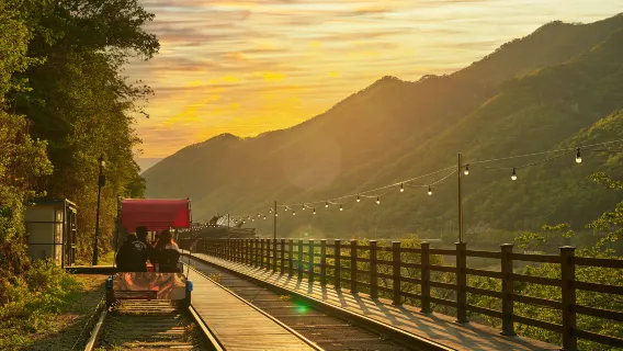 남이섬 + 쁘띠프랑스 + 김유정 강촌 레일바이크 일일 투어[서울 출발]