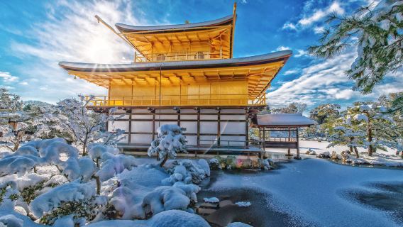 Tour một ngày Kyoto: Kiyomizu-dera, Kinkaku-ji và Fushimi Inari Taisha