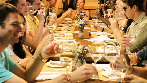 Chianti: Day Trip from Florence + Wine Tour & Tasting