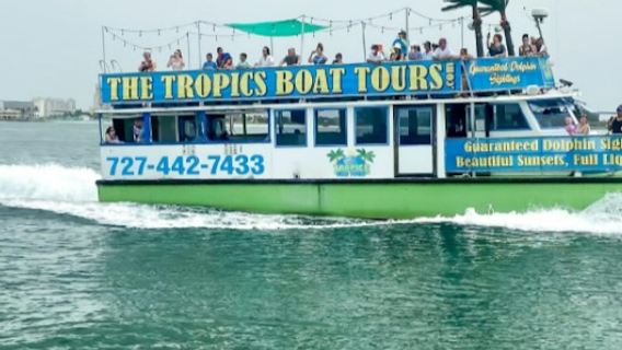 Clearwater : Excursion en bateau pour observer les dauphins + déjeuner