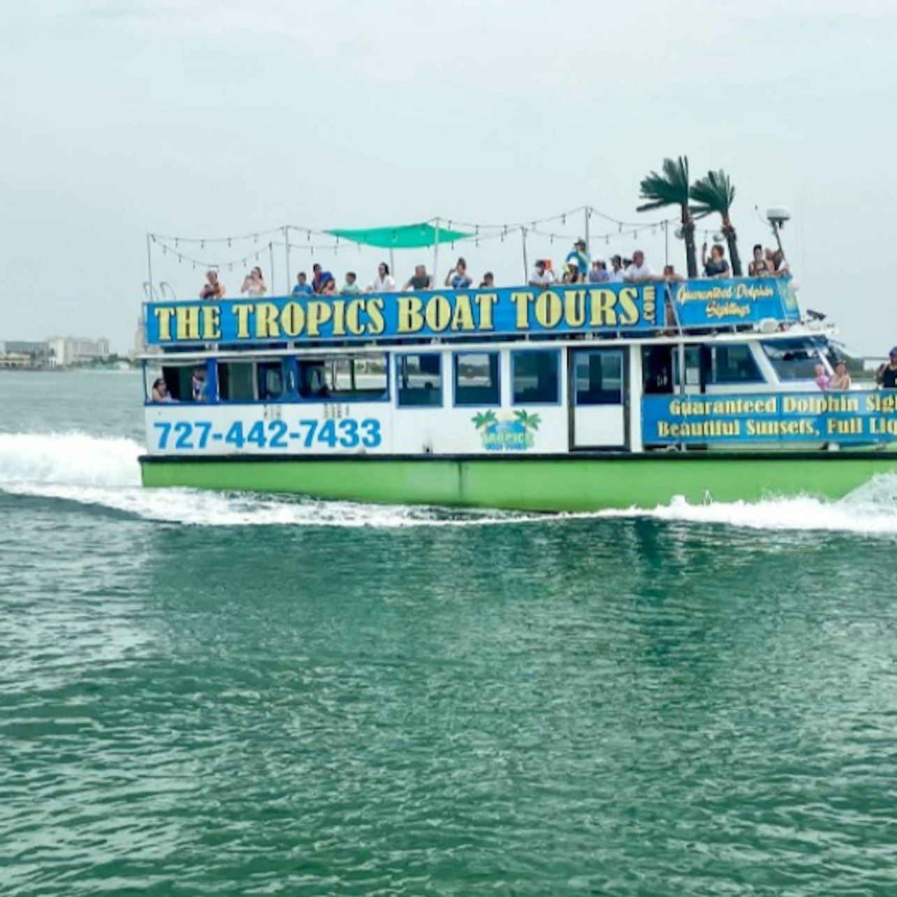 Clearwater: Dolphin Encounter Boat Ride + Lunch
