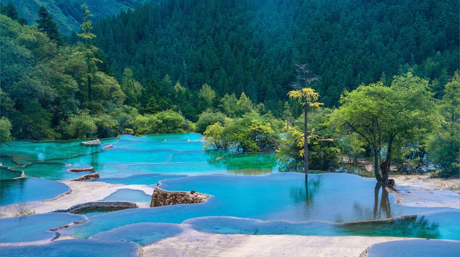 麗江玉龍雪山景區：犛牛坪+藍月谷一日遊（贈：簡餐）