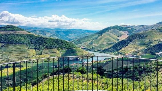 Tour 1 ngày thung lũng Douro Porto Bồ Đào Nha - Du thuyền/Tham quan vườn nho/Thưởng thức rượu vang/Bữa trưa