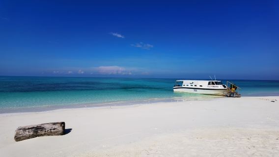 Sabah Kota Kinabalu Mengalum Island Snorkeling 1 Day Shared Tour