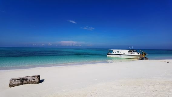 Kota KinabaluTours