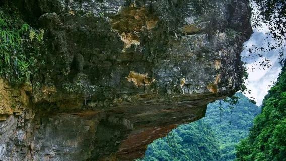 獅子關旅遊區+宣恩伍家台+宣恩夜景一日遊【大咖講解】
