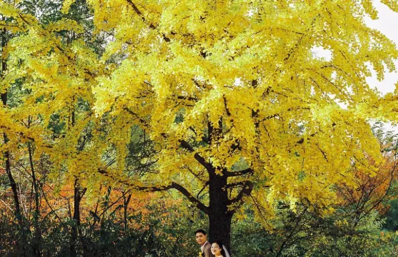 鄂州西山風景區旅拍【親子照家庭照婚禮跟拍航拍街拍抓拍約拍/婚紗寫真攝影攝像/翻譯】