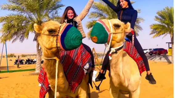 Dubai Safari Gurun dengan Makan Malam BBQ & Transfer Penjemputan/Pengantaran