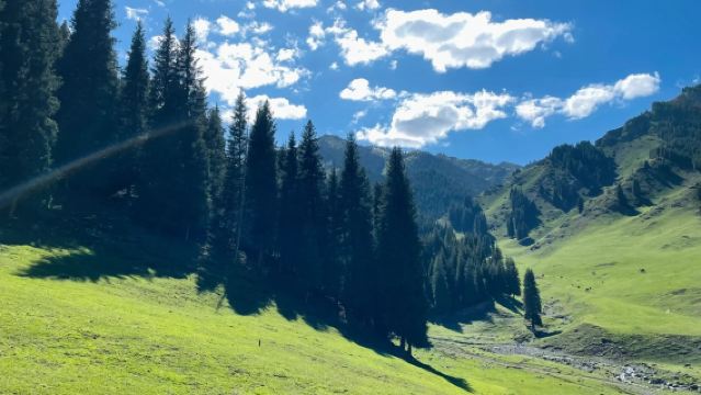天山天池+天山大峽谷一日遊【上門接駁/純玩無購物】